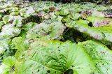 201309211040-AJS_7606.jpg